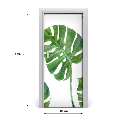 Samolepící fototapeta na dveře Monstera