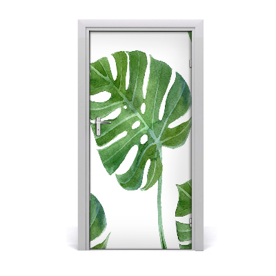 Samolepící fototapeta na dveře Monstera