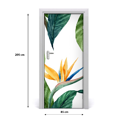 Samolepící fototapeta na dveře Strelitzia reginae