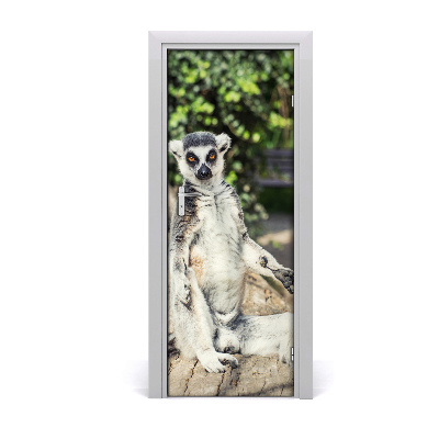 Samolepící fototapeta na dveře Lemur