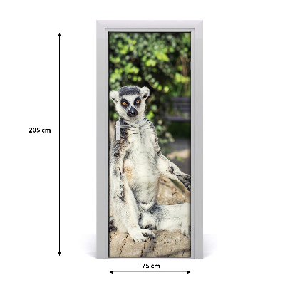 Samolepící fototapeta na dveře Lemur