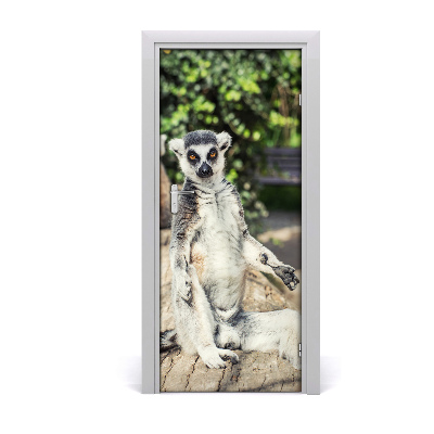 Samolepící fototapeta na dveře Lemur