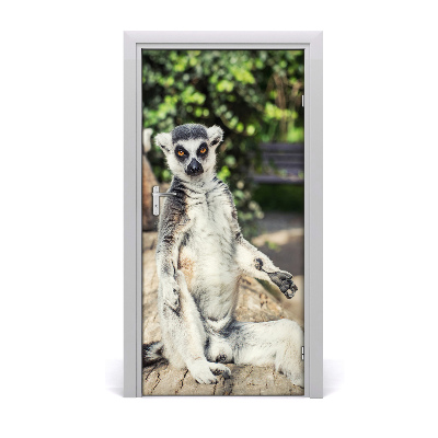 Samolepící fototapeta na dveře Lemur