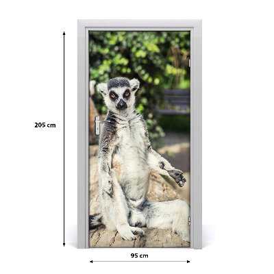 Samolepící fototapeta na dveře Lemur