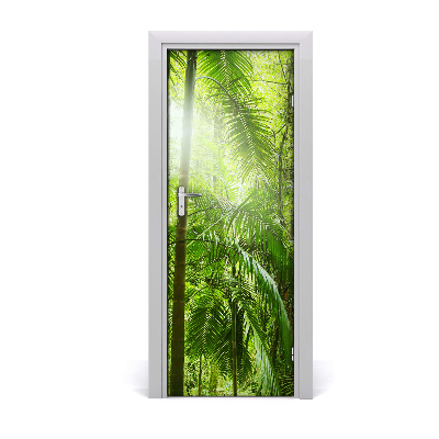 Fototapeta na dveře deštný les