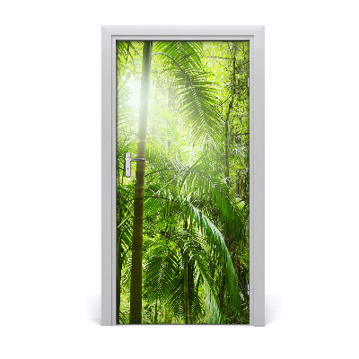 Fototapeta na dveře deštný les