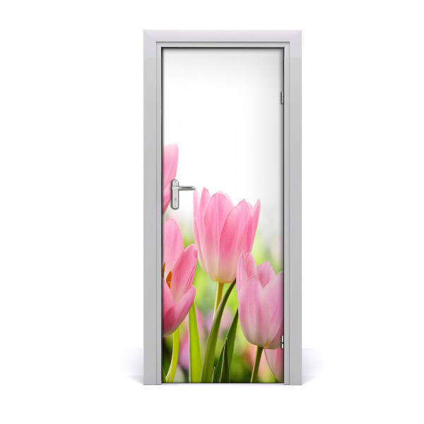 Fototapeta samolepící Růžové tulipány