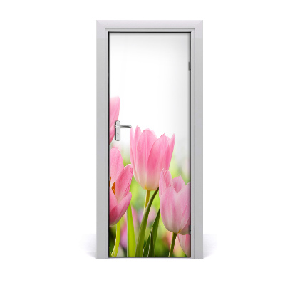 Fototapeta samolepící Růžové tulipány