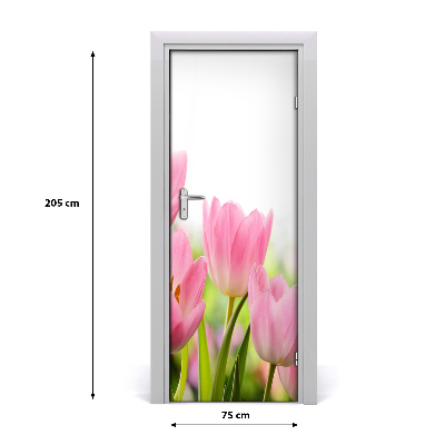 Fototapeta samolepící Růžové tulipány