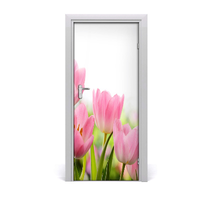 Fototapeta samolepící Růžové tulipány