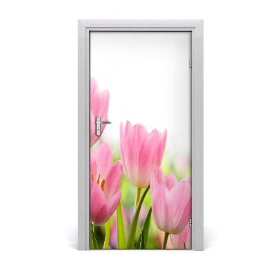 Fototapeta samolepící Růžové tulipány