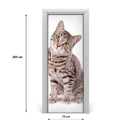 Samolepící fototapeta na dveře Kočka