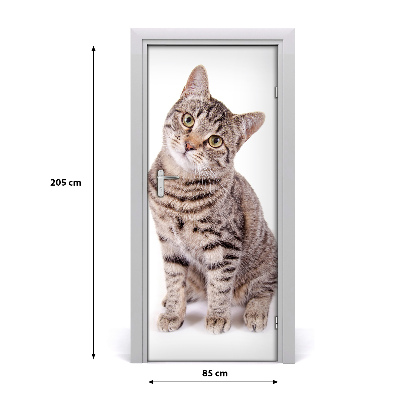 Samolepící fototapeta na dveře Kočka