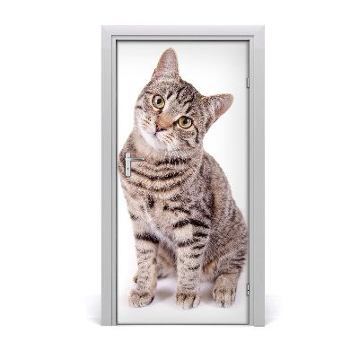 Samolepící fototapeta na dveře Kočka