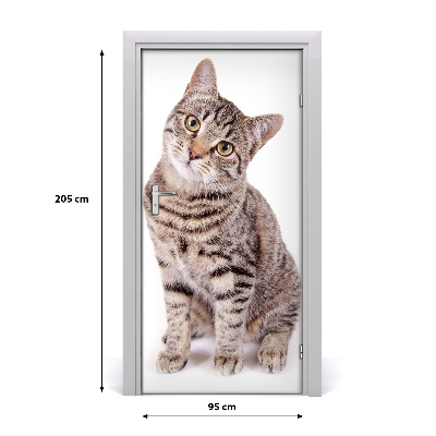 Samolepící fototapeta na dveře Kočka
