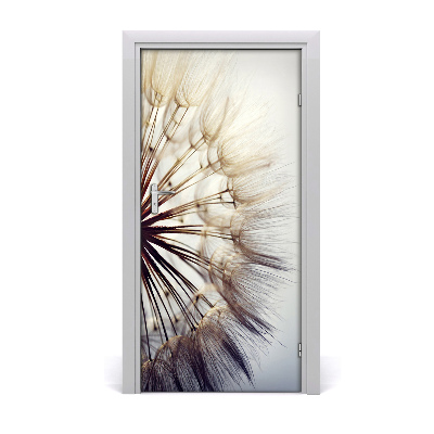 Fototapeta samolepící Pampeliška