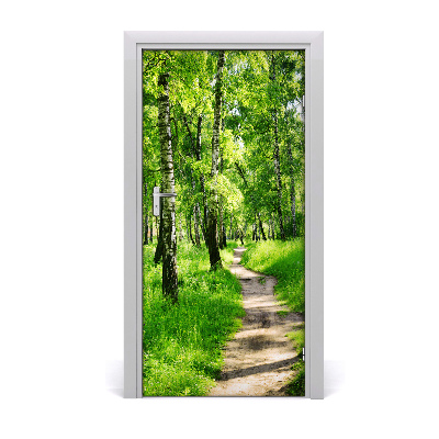 Fototapeta na dveře břízový les