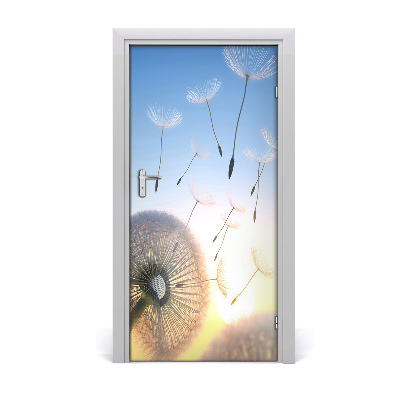 Fototapeta samolepící Pampeliška