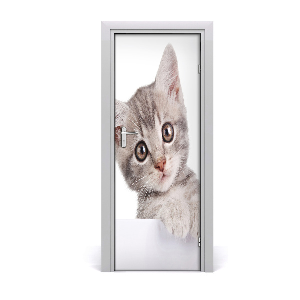 Samolepící fototapeta na dveře Šedá kočka