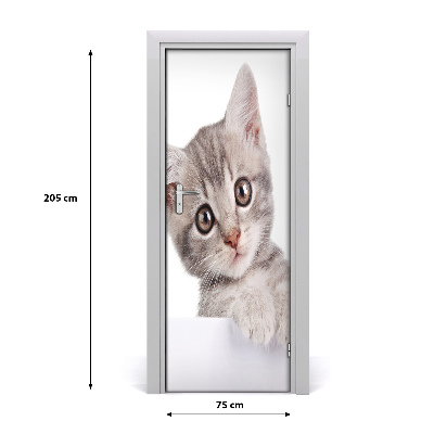Samolepící fototapeta na dveře Šedá kočka