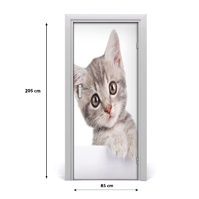 Samolepící fototapeta na dveře Šedá kočka