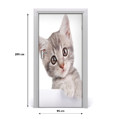 Samolepící fototapeta na dveře Šedá kočka