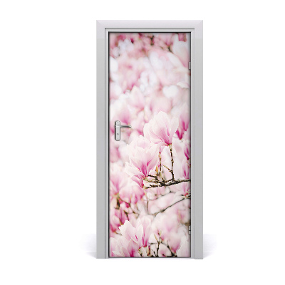 Fototapeta samolepící květy magnolie