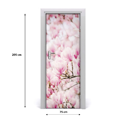 Fototapeta samolepící květy magnolie