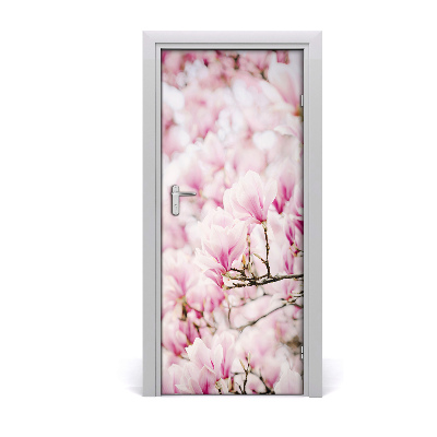 Fototapeta samolepící květy magnolie