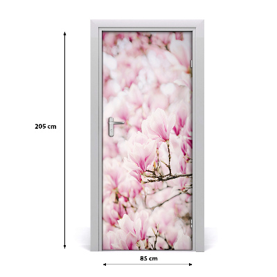 Fototapeta samolepící květy magnolie