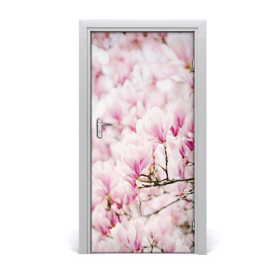 Fototapeta samolepící květy magnolie