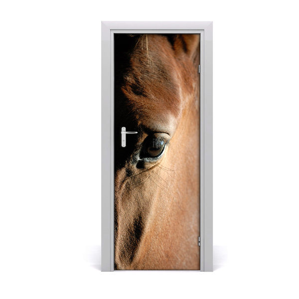 Samolepící fototapeta na dveře Kůň