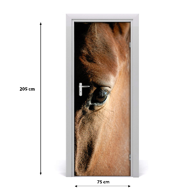 Samolepící fototapeta na dveře Kůň