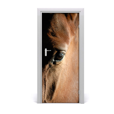 Samolepící fototapeta na dveře Kůň