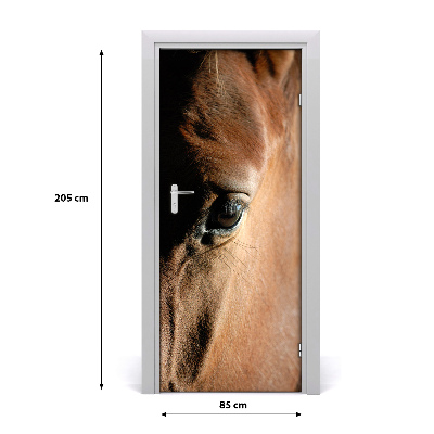 Samolepící fototapeta na dveře Kůň