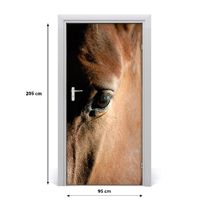 Samolepící fototapeta na dveře Kůň