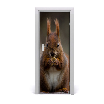 Samolepící fototapeta na dveře Veverka
