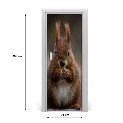 Samolepící fototapeta na dveře Veverka