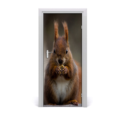 Samolepící fototapeta na dveře Veverka