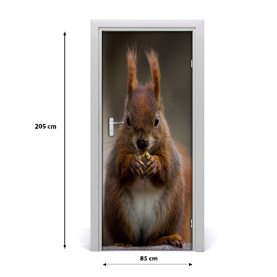 Samolepící fototapeta na dveře Veverka