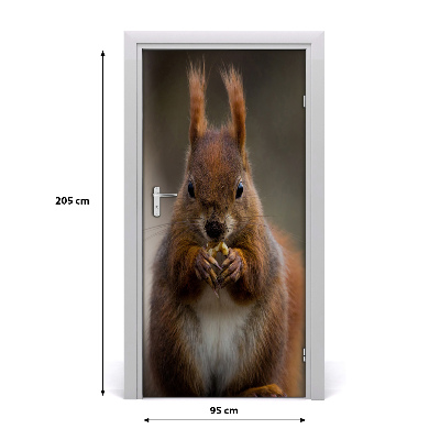 Samolepící fototapeta na dveře Veverka