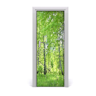 Fototapeta na dveře břízový les