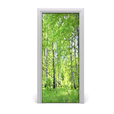Fototapeta na dveře břízový les