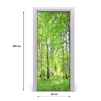 Fototapeta na dveře břízový les