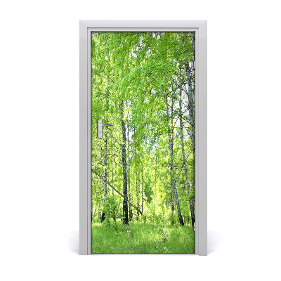 Fototapeta na dveře břízový les