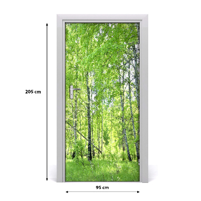 Fototapeta na dveře břízový les