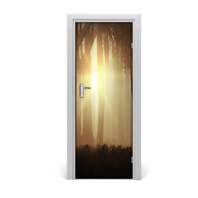 Fototapeta na dveře mlha v lese