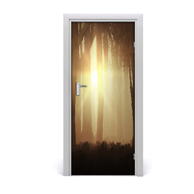 Fototapeta na dveře mlha v lese