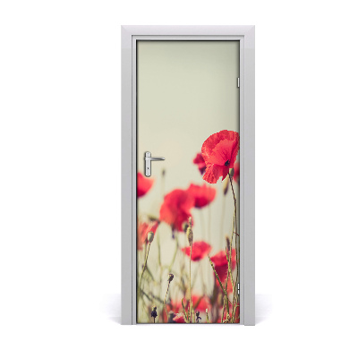 Fototapeta samolepící Polní mák