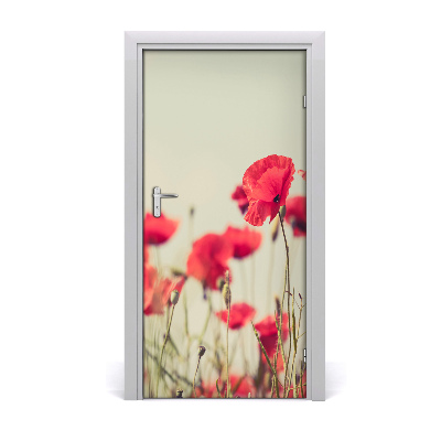 Fototapeta samolepící Polní mák